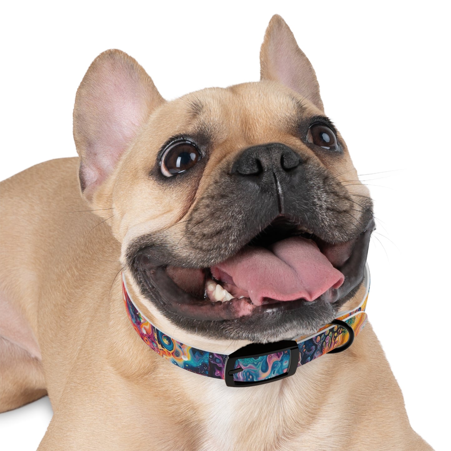 Trippy Paint Pet Collar