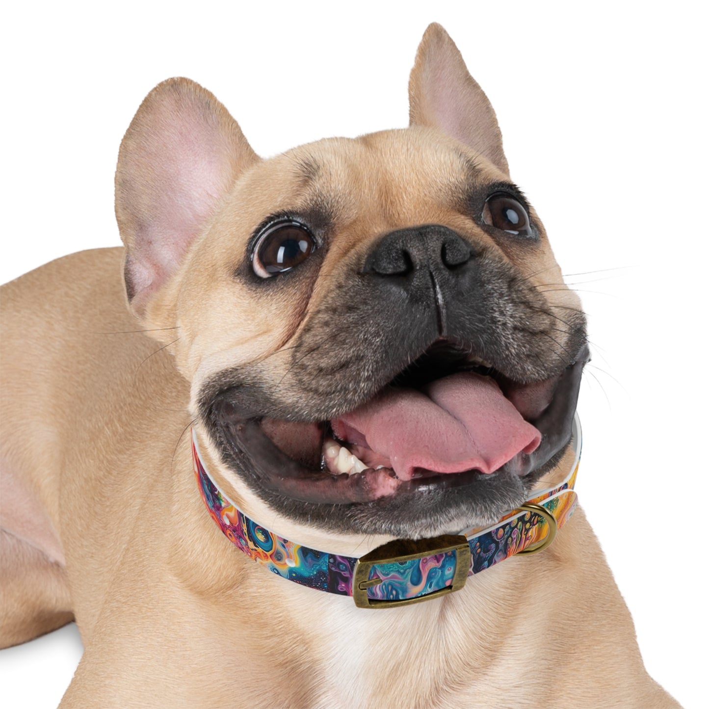 Trippy Paint Pet Collar