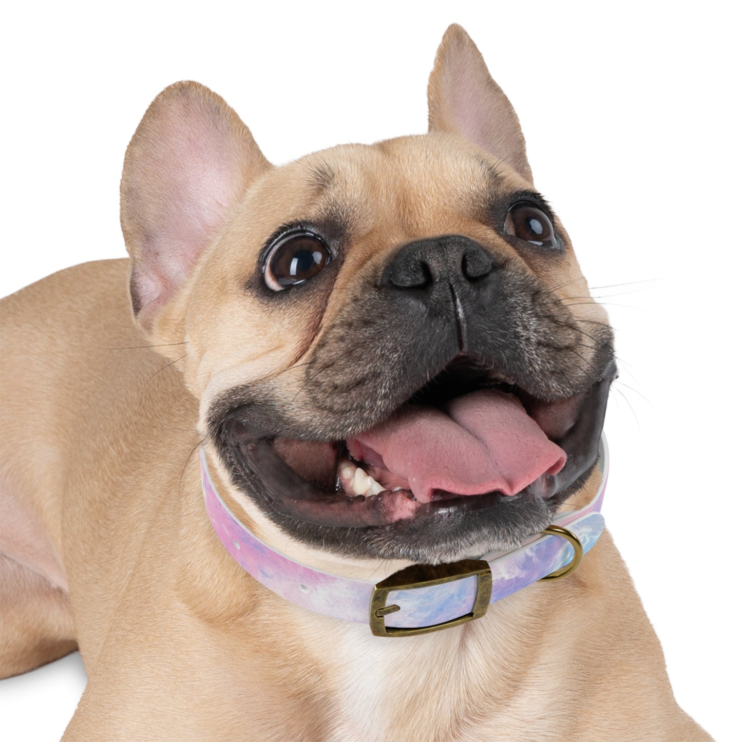 Light Tie Dye Pet Collar