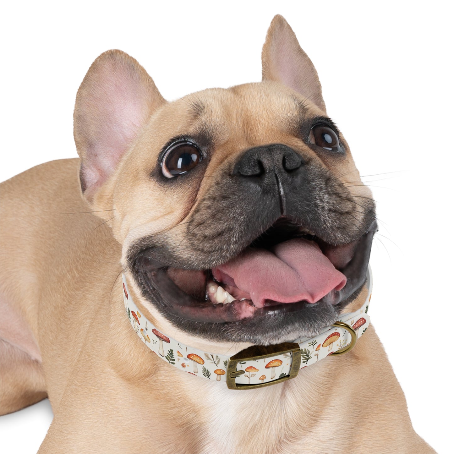 Mushroom Pet Collar