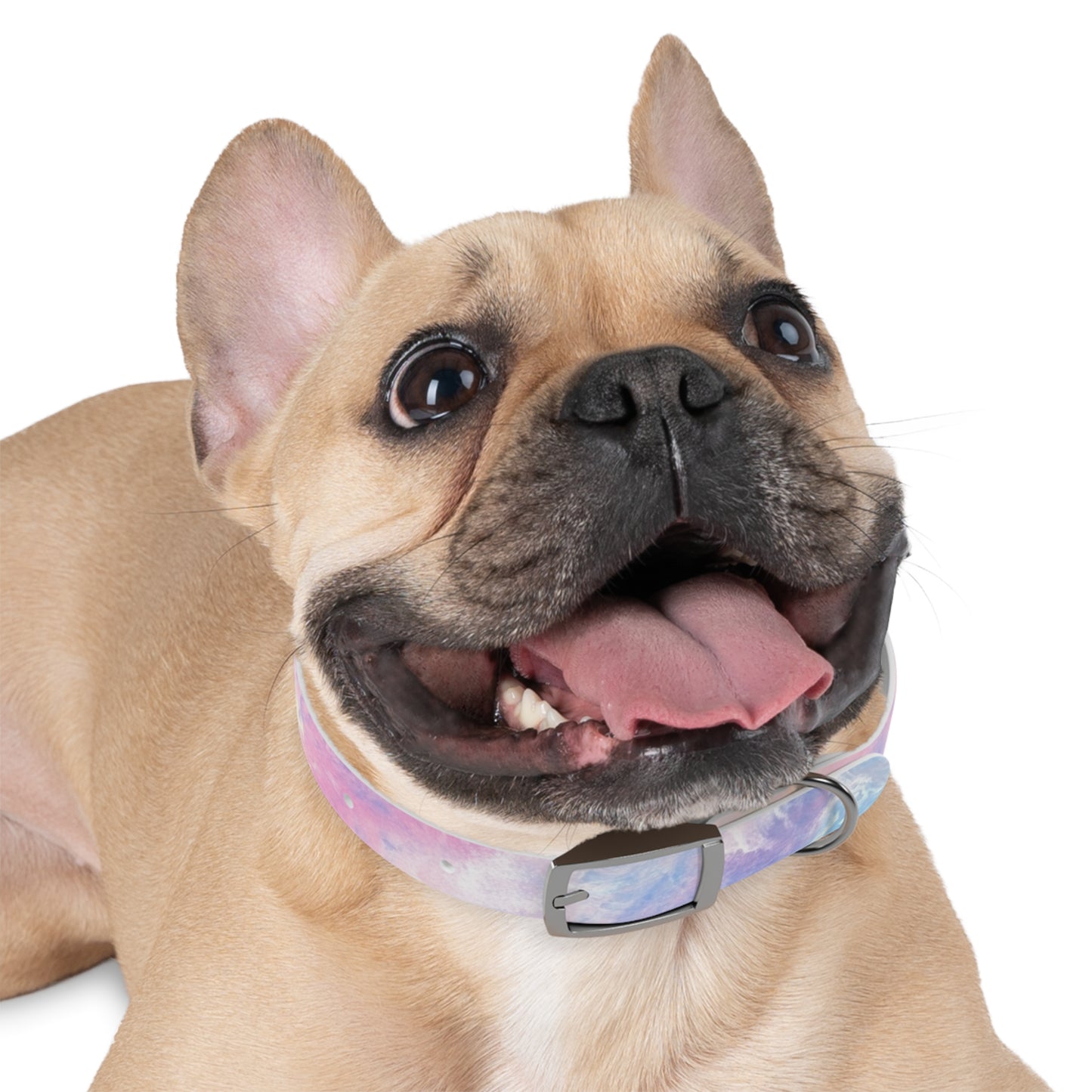 Light Tie Dye Pet Collar