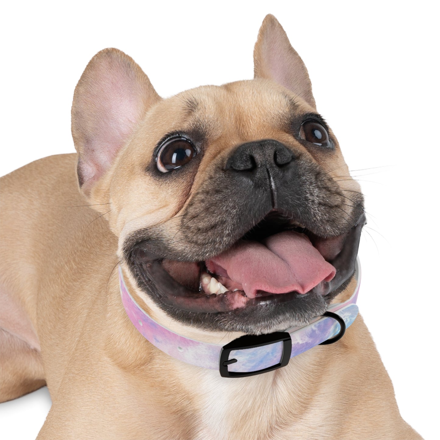 Light Tie Dye Pet Collar
