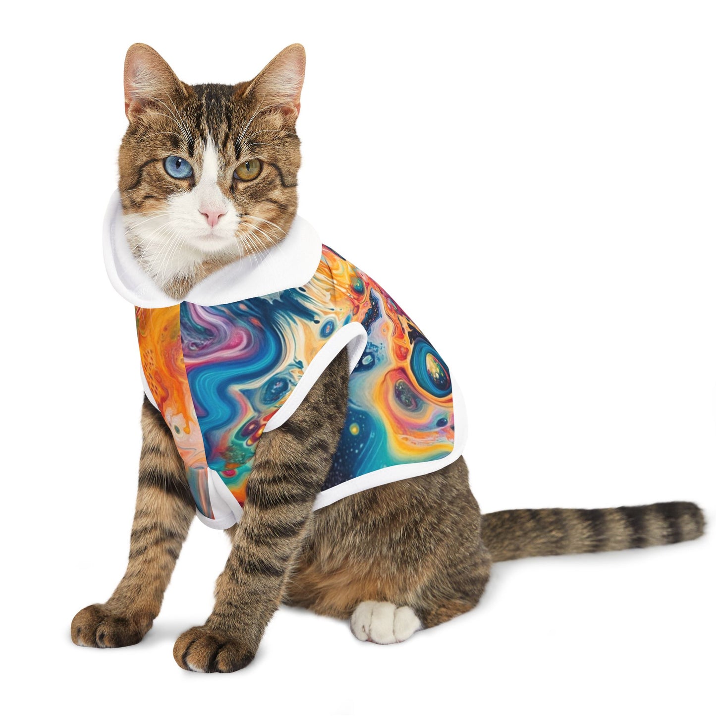 Trippy Paint Pet Hoodie