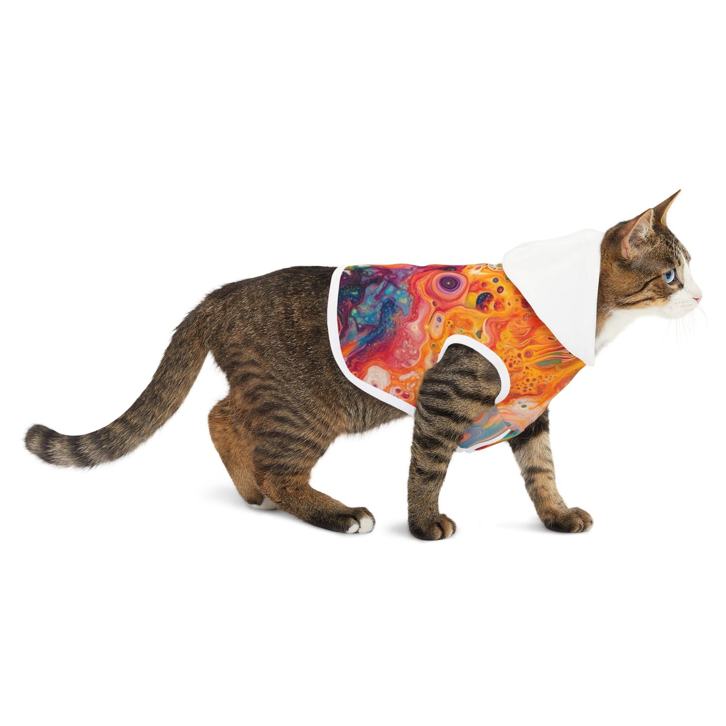 Trippy Paint Pet Hoodie