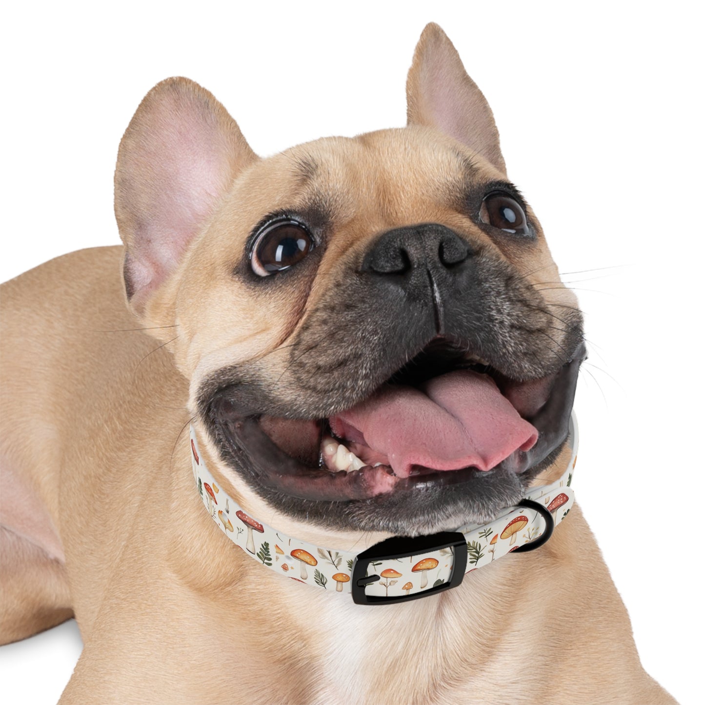 Mushroom Pet Collar