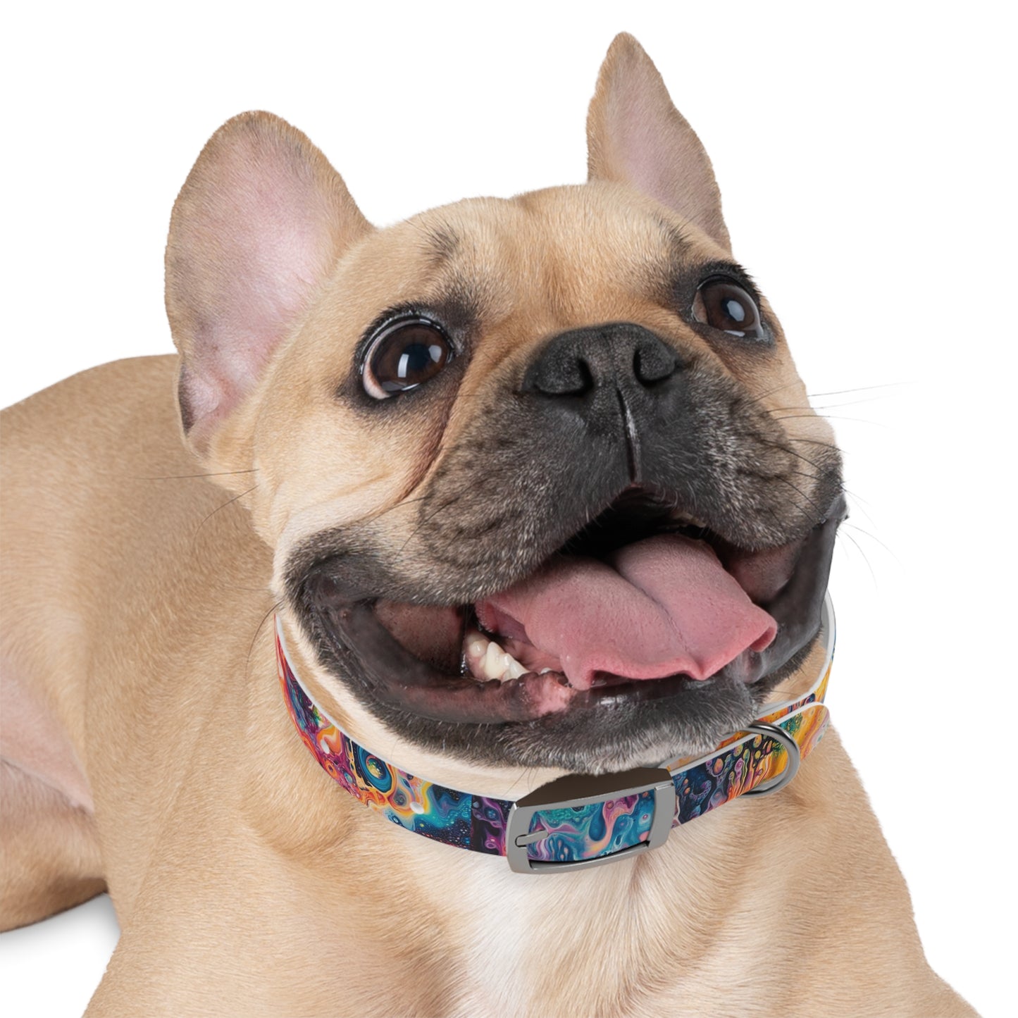 Trippy Paint Pet Collar