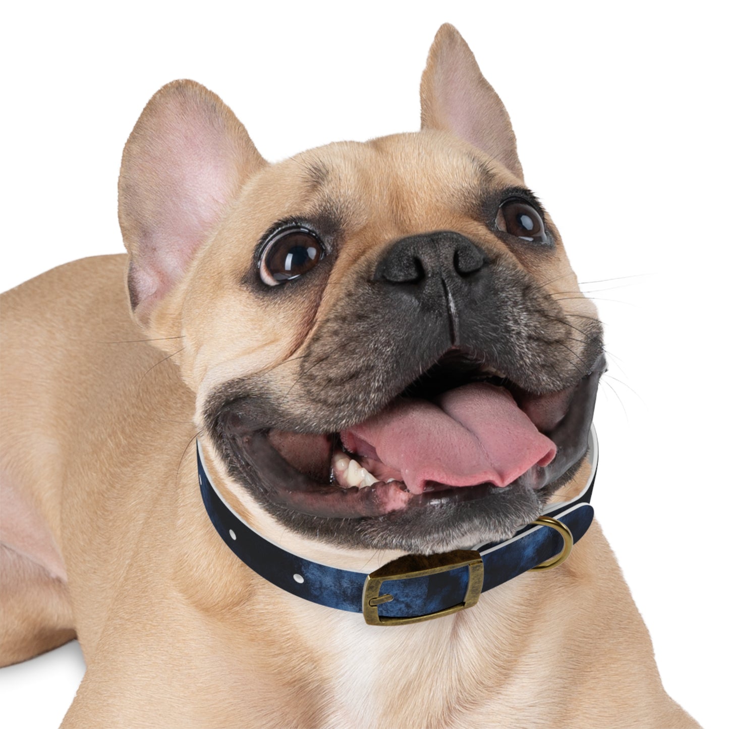 Dark Tie Dye Pet Collar