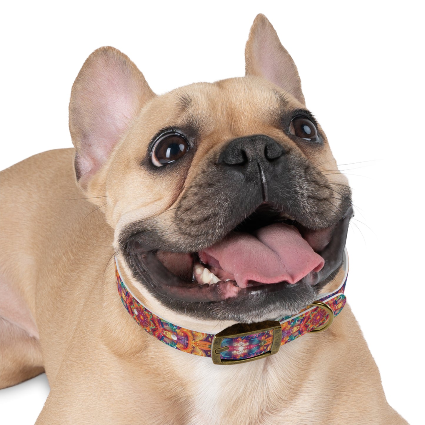 Light Kaleidoscope Collar