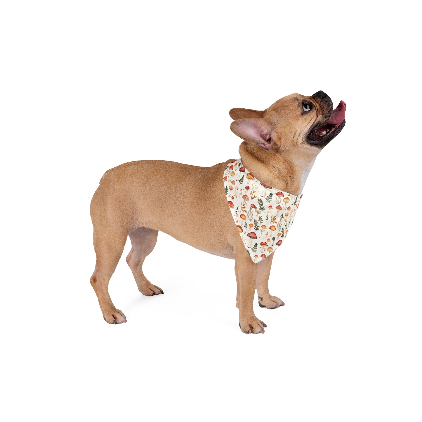 Mushroom Pet Bandana